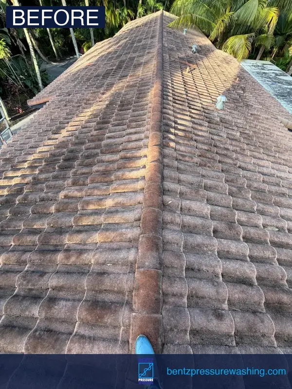 Before roof soft washing in Fort Lauderdale